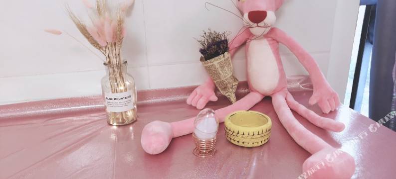 窦小姐公寓(肥东3号店)图片