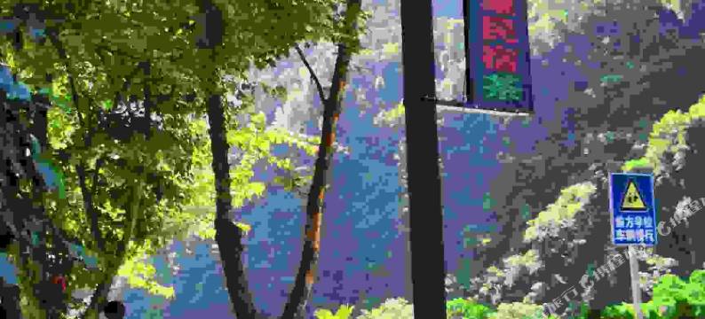 汶川云巢花窠民宿图片