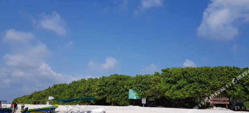 Casamia Oceanfront Condo Nilaveli图片