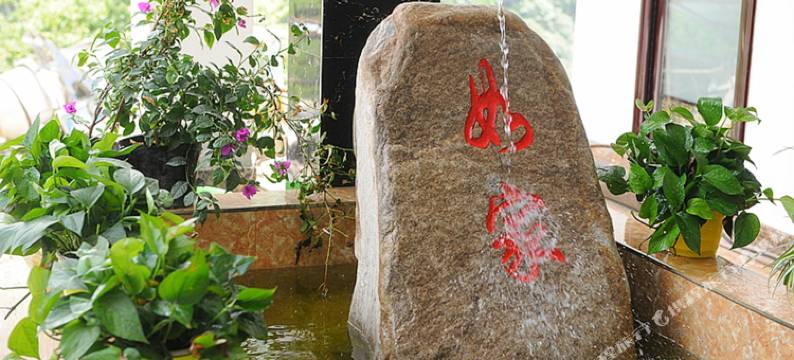 TOWO上品酒店(海螺沟店)图片