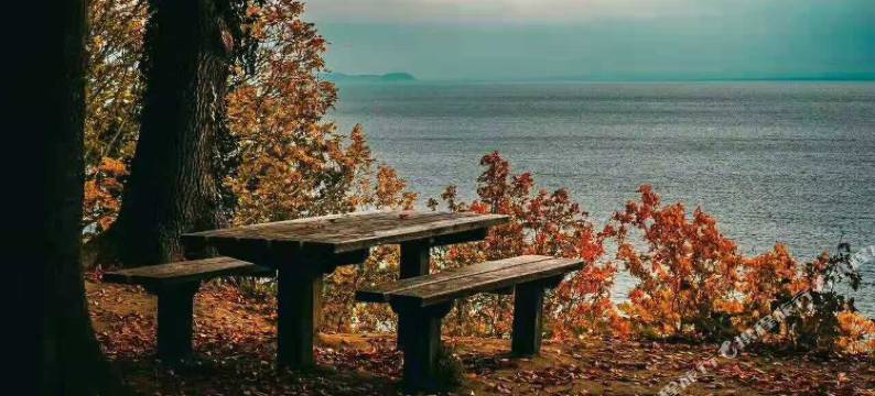 青岛秀峰公寓图片