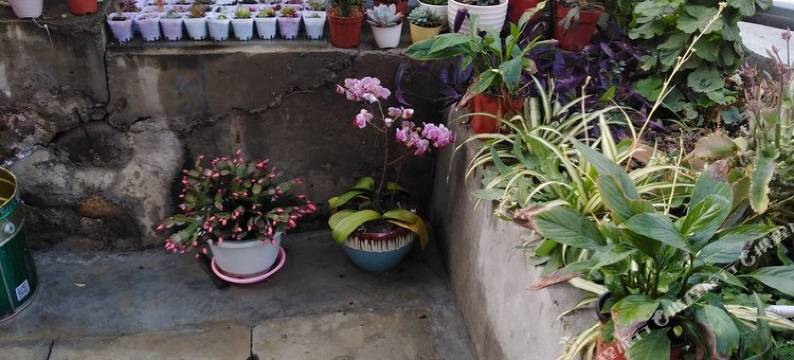 西昌馨澜客栈图片