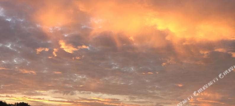 安吉竹家小婷婷农家乐图片