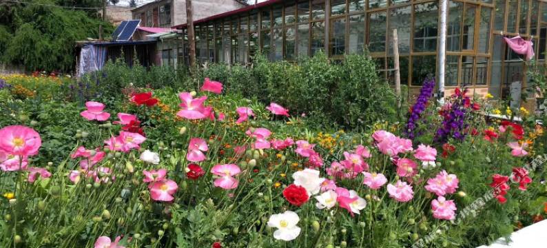 祁连聚客来驿站图片