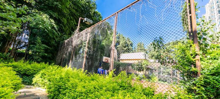 昆明创意.雅居公寓图片