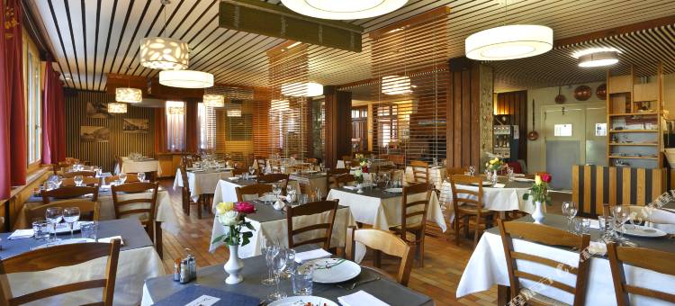 皮斯旅馆(Le Relais des Puys)图片