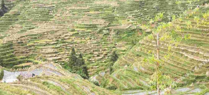 从江加榜酒店图片