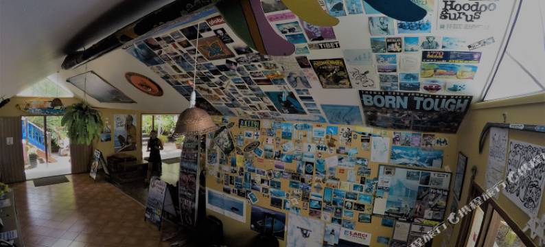 酷香蕉背包客旅馆(Cool Bananas Backpackers)图片