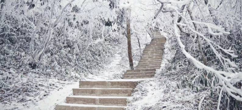 城中小筑度假屋(张家界天门山汽车站火车站店)图片