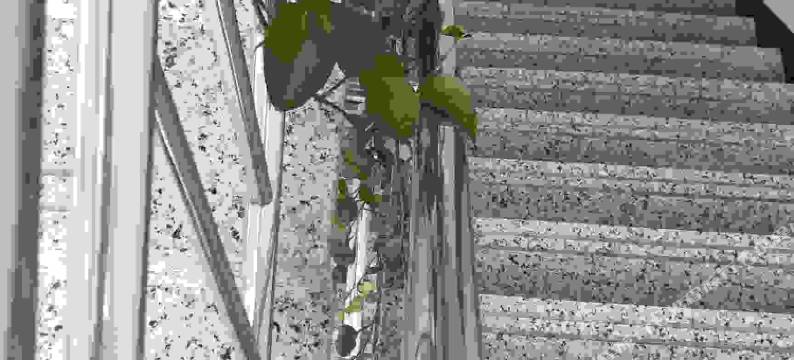 象山伍福楼客栈图片