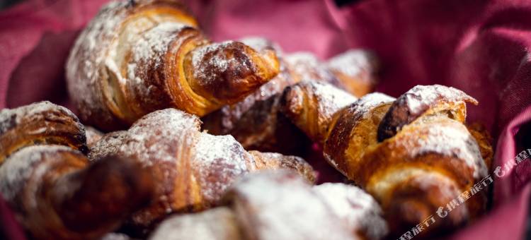 米开朗基罗大酒店(Michelangelo Grand Hotel)图片