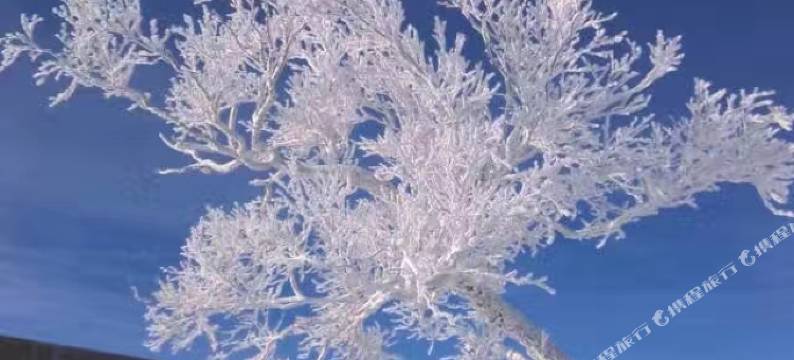 雪谷手牵手客栈图片