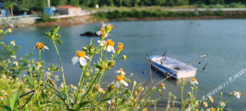 惠州渡头村观山海客栈图片