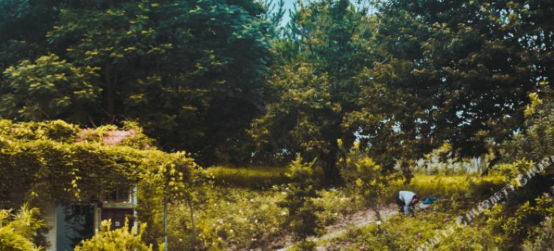 始兴开心农场图片