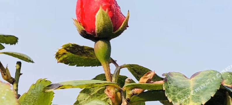 西安玉镜台温泉酒店图片