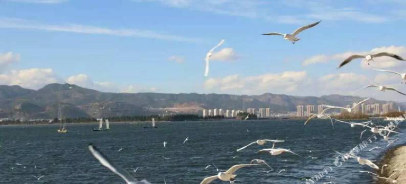 昆明滇池梦之旅客栈图片