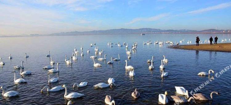 格林豪泰智选酒店(荣成高铁站店)图片