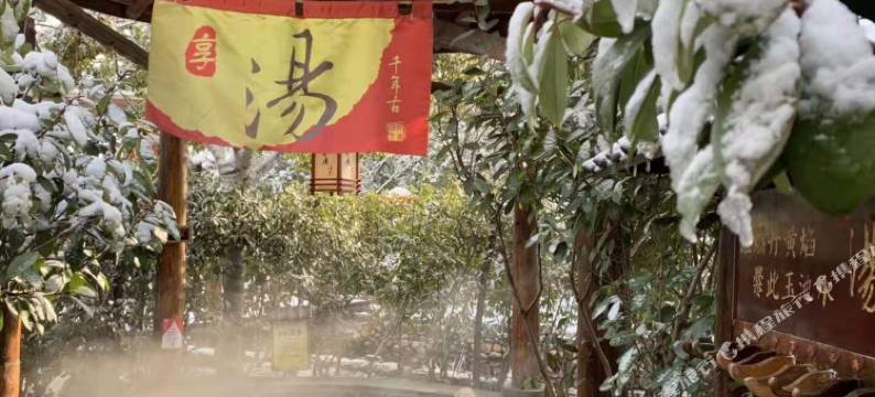 临沂观唐温泉(国际)度假村图片
