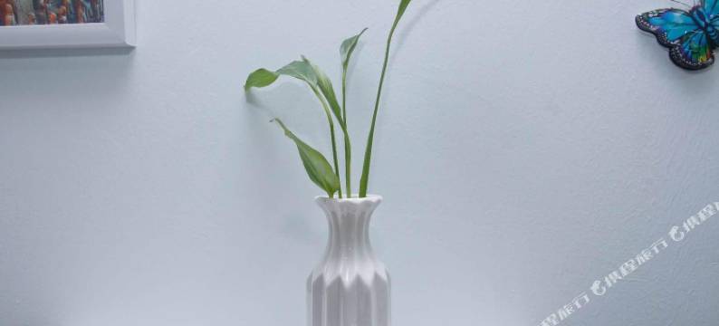 西安钟楼回民街双子座公寓酒店图片