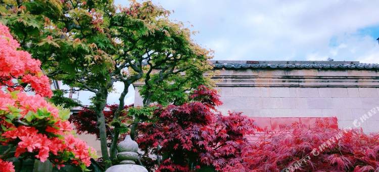 民宿锦園(Nishikien inn)图片