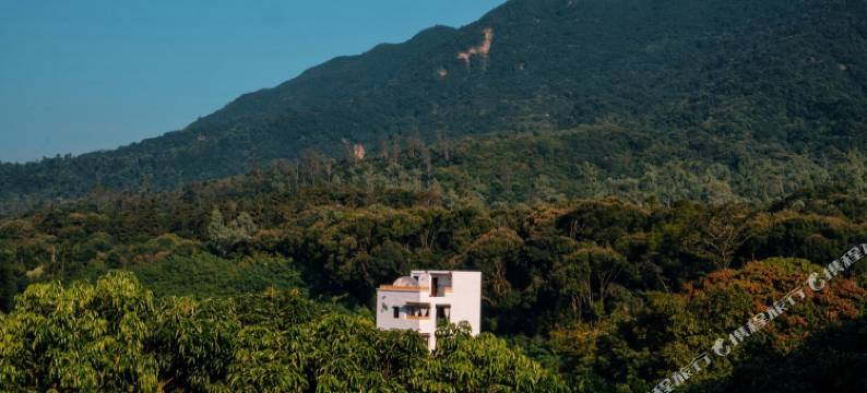 深圳清溪乡舍民宿图片