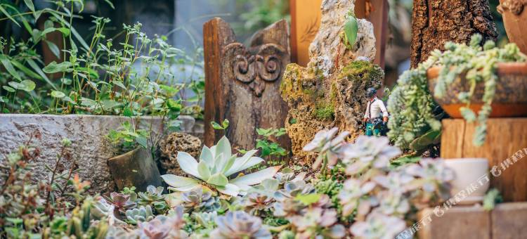 丽江镜花别院精品客栈图片