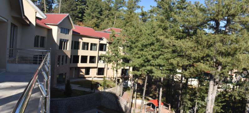 梅赫兰旅馆(Mehran Lodges)图片