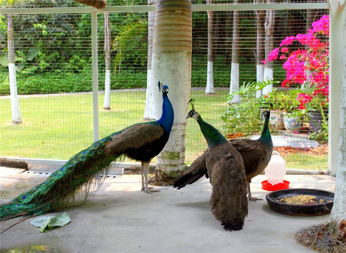 厦门悦华酒店(华荣路地铁站店)图片
