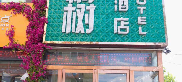 梧桐树精品酒店(新郑龙湖双湖大道店)图片
