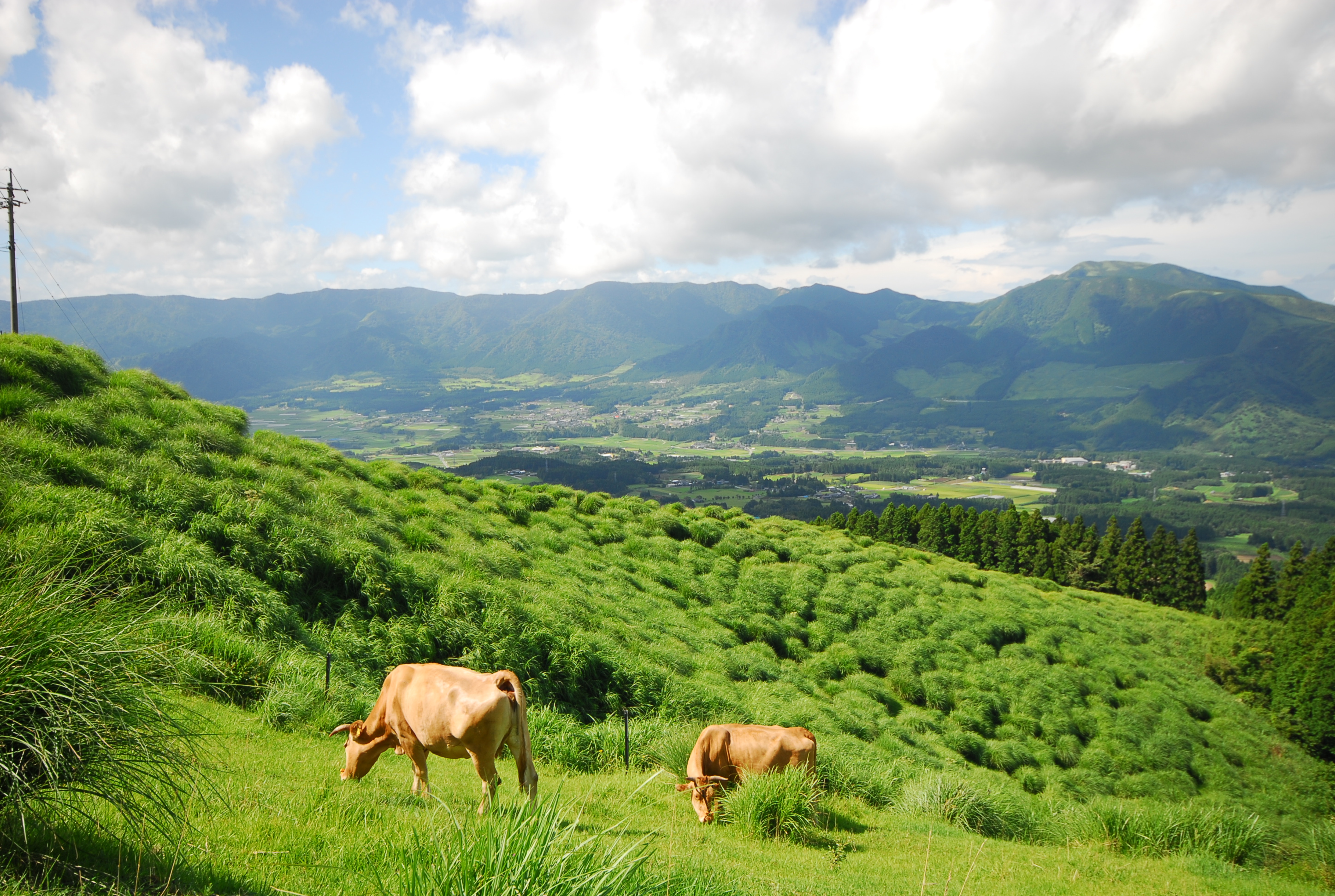 Aso Farm Land Over view