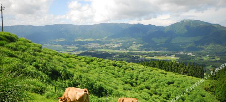 阿苏农场渡假村(Aso Farm Land)图片