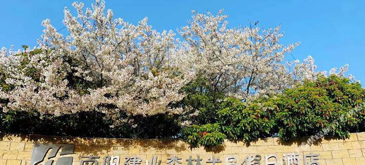 南阳建业森林半岛假日酒店图片