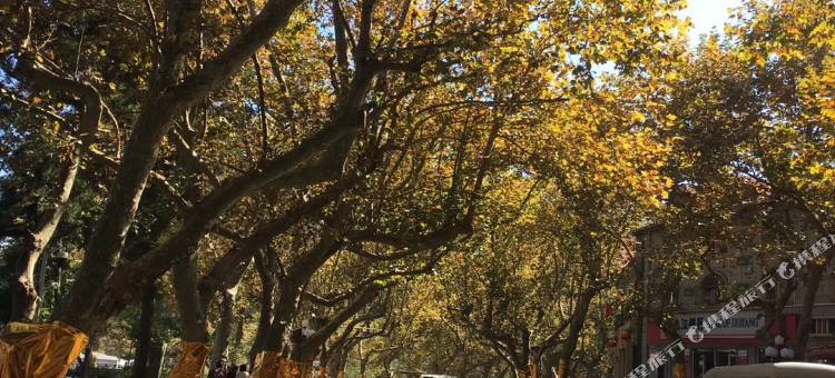 山涧溪.明庐轻居山景度假别墅(庐山风景区山上店)图片