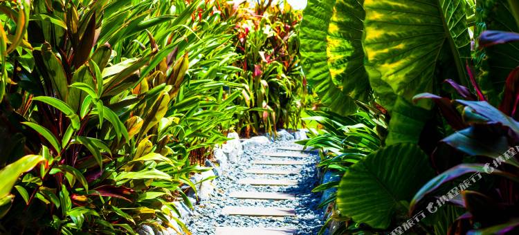 游艇俱乐部(Yacht Club Villas)图片