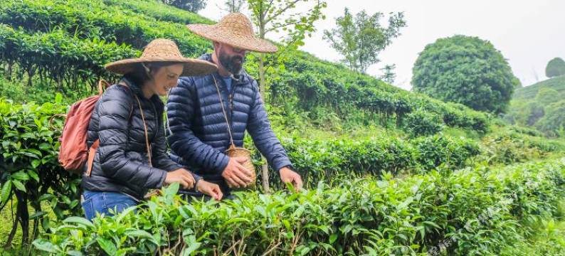阳朔红楼梦酒店图片