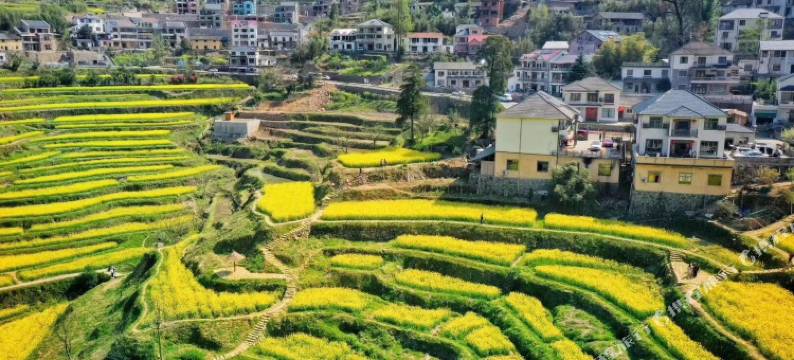 杭州山里农庄图片