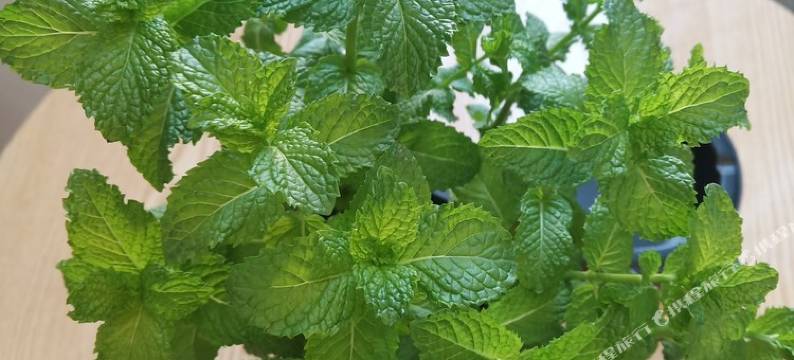 佳木斯沃途云公寓图片