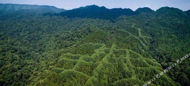 天台山向阳客栈图片