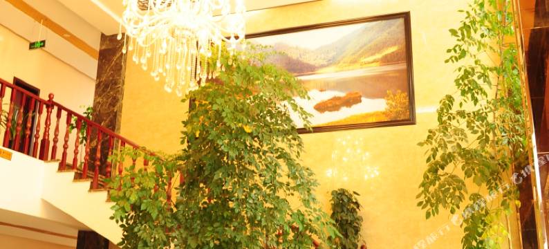 云龙宝龙酒店图片