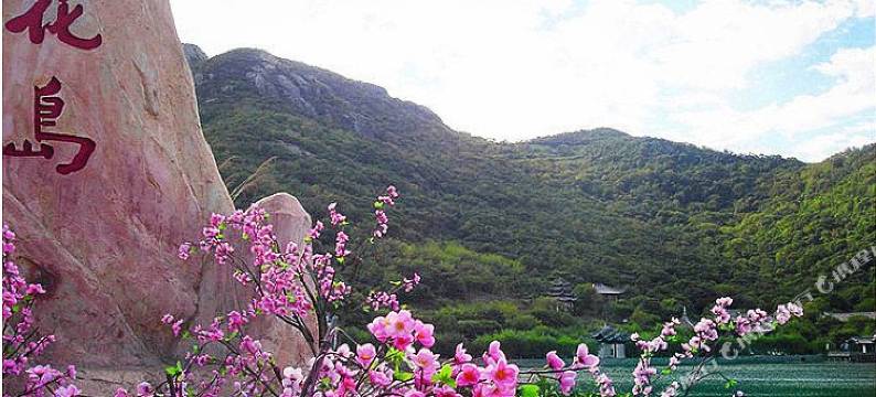 朱家尖怡情海客栈(东沙湾海滨浴场店)图片