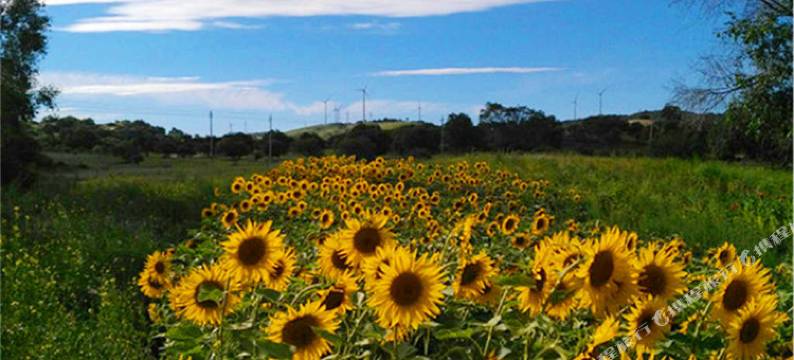 围场库尔奇勒庄园图片