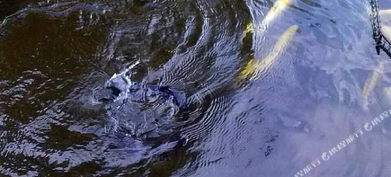 北京红满天农家院图片