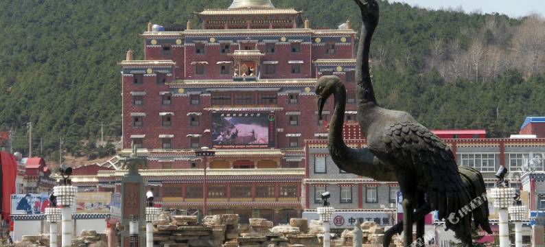 香格里拉梦仙酒店图片