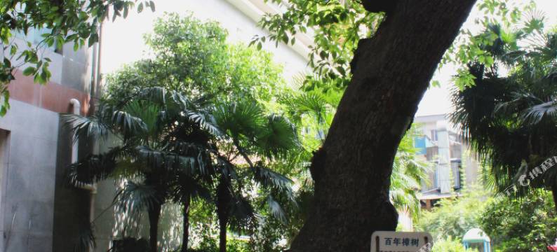 长沙旅行家太空舱青年客栈图片