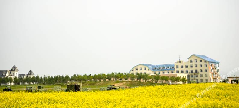 坝上草原嘉年华酒店图片