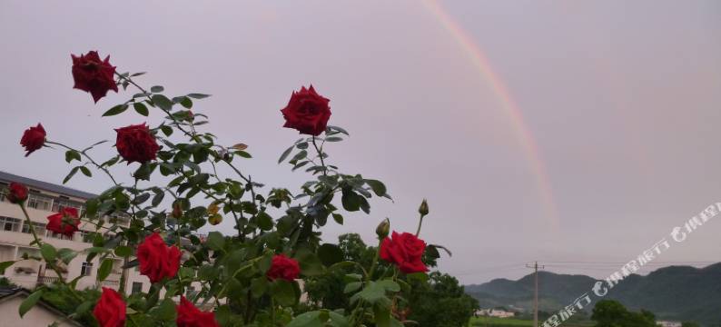 潜山官庄宾馆图片