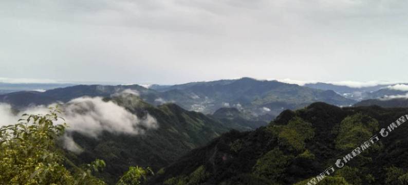 天柱山天然居农家乐图片