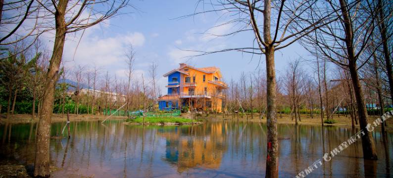 花莲脸都绿了森林庄园民宿图片