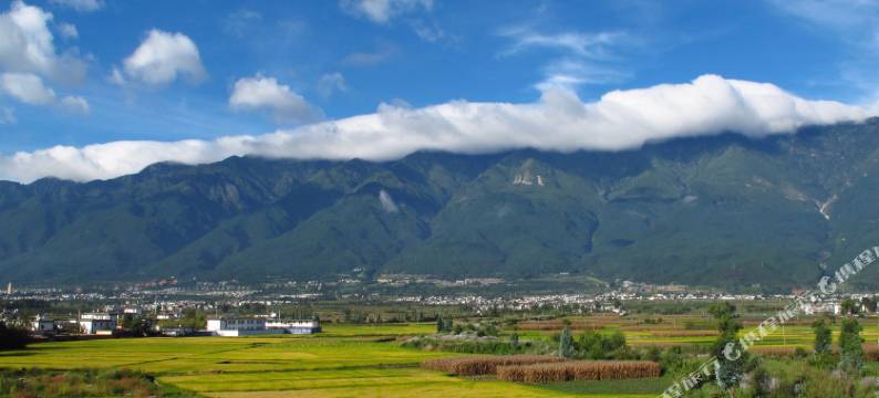 里岸玫瑰田园民宿图片