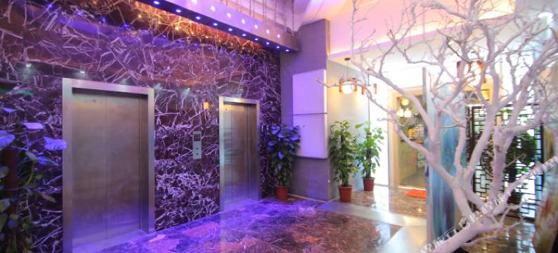 上海朵蓝概念酒店图片